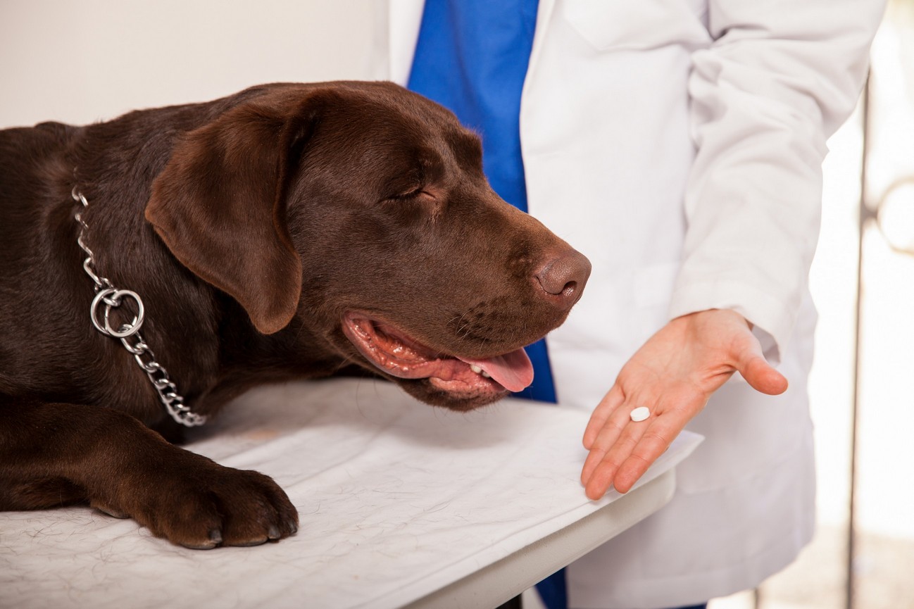Preventative Care  North Hollywood, CA 