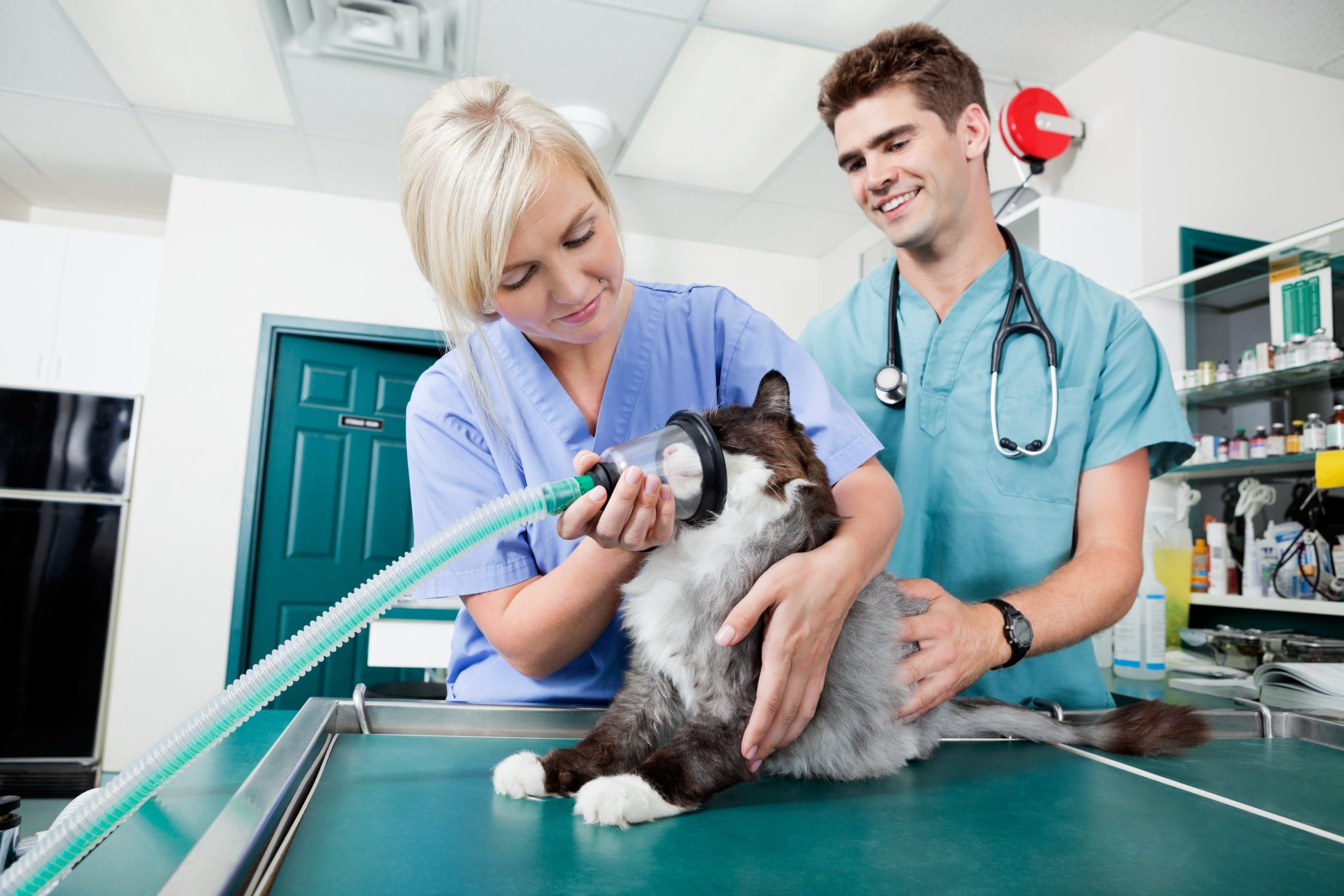 ICU Services with Oxygen Chamber  North Hollywood, CA 